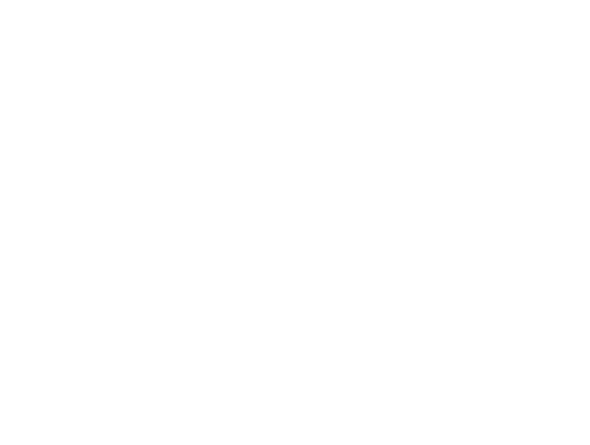 생중계(on-air)