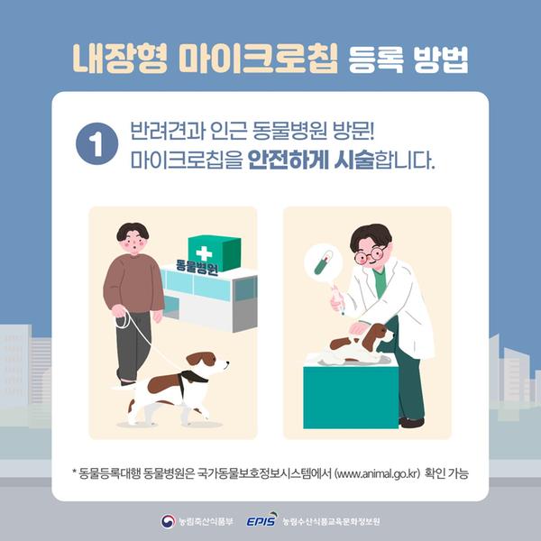 동물등록 자진신고 기간 운영 안내 카드뉴스 