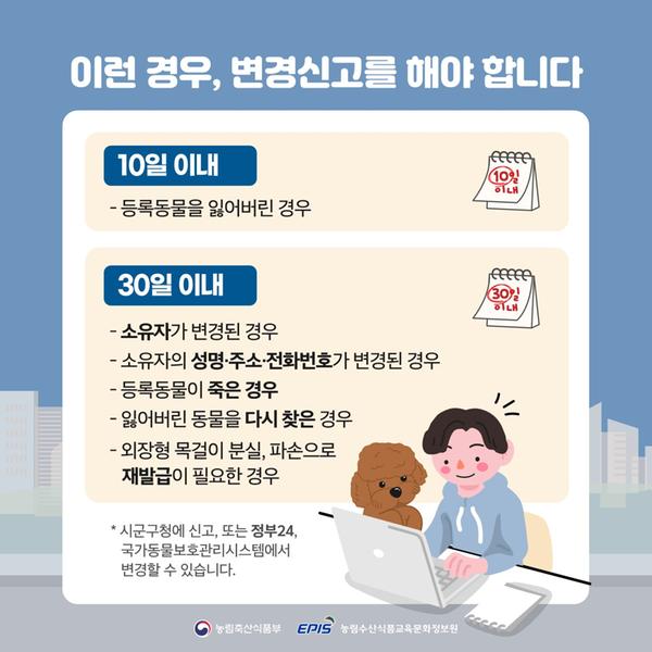 동물등록 자진신고 기간 운영 안내 카드뉴스 