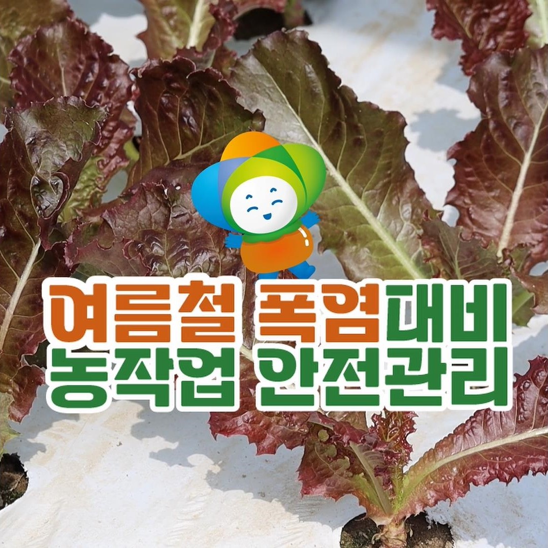 여름철 폭염대비 농작업 안전관리