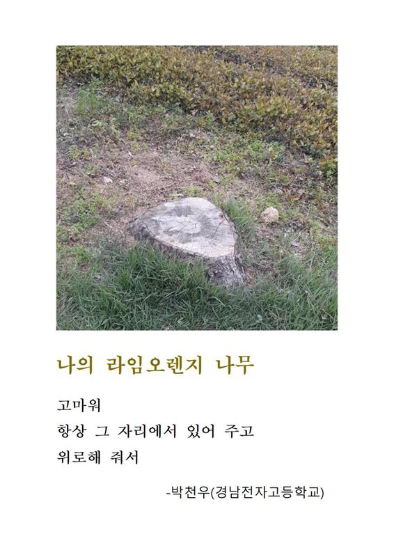 청소년 디카시 작품