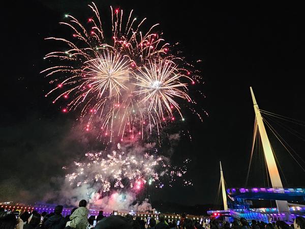 마산국화축제 불꽃쇼, 국화 향 물든 밤하늘에‘펑펑’