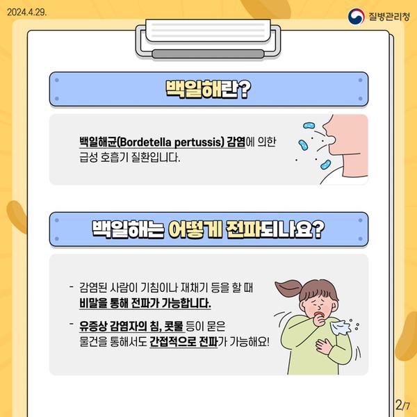 백일해 예방 카드뉴스(2)