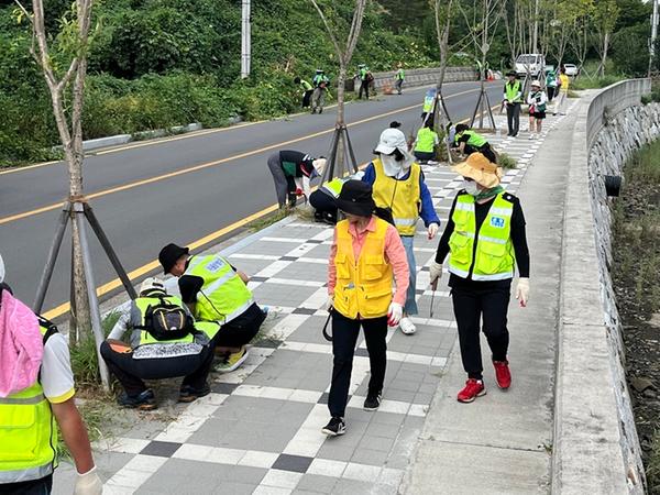 웅천동 주민과 함께 종횡무진해 실시 사진입니다.