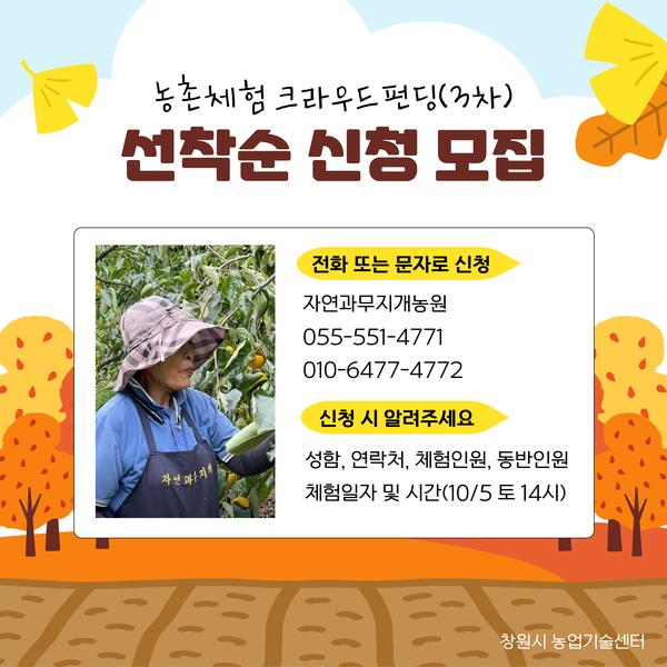 신청 안내