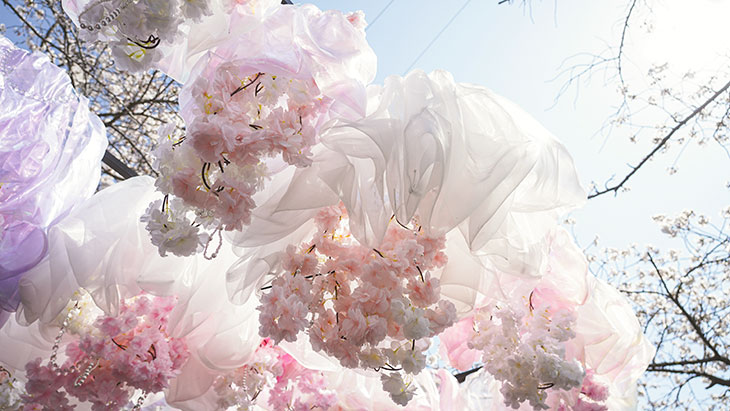 진해군항제 축제