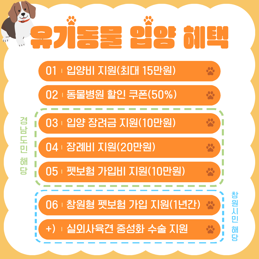 팝업이미지