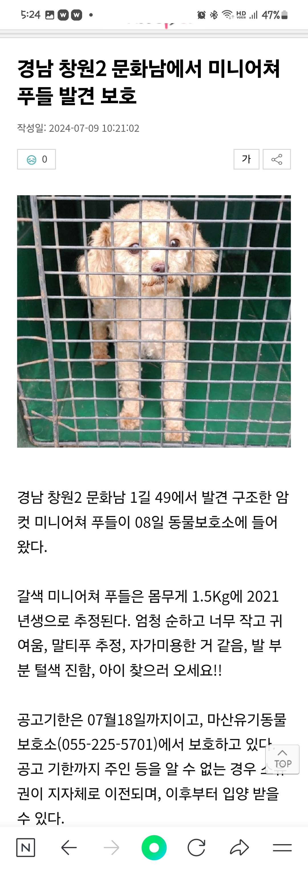 입양후기 이미지