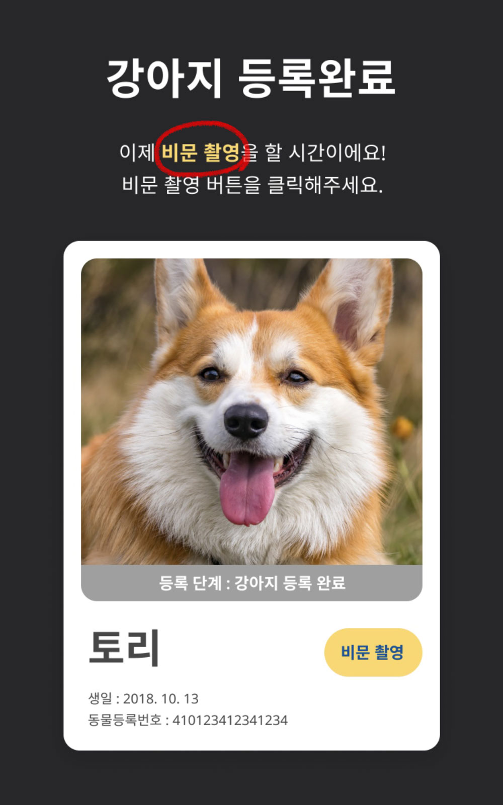 비문촬영 버튼 클릭 이미지