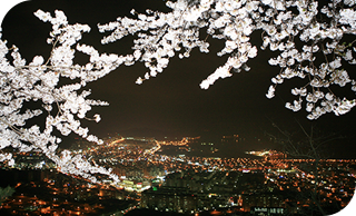 장복산에서 내려다본 벚꽃야경사진