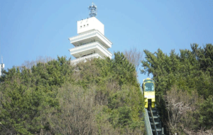 제황산공원(창원시립진해박물관) 사진