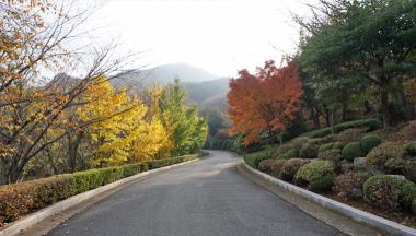 진해만생태숲 숲해설