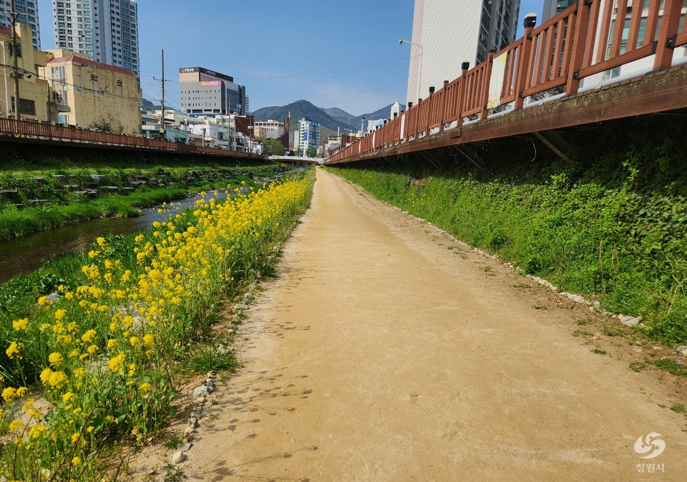 산호천 꽃길 전경