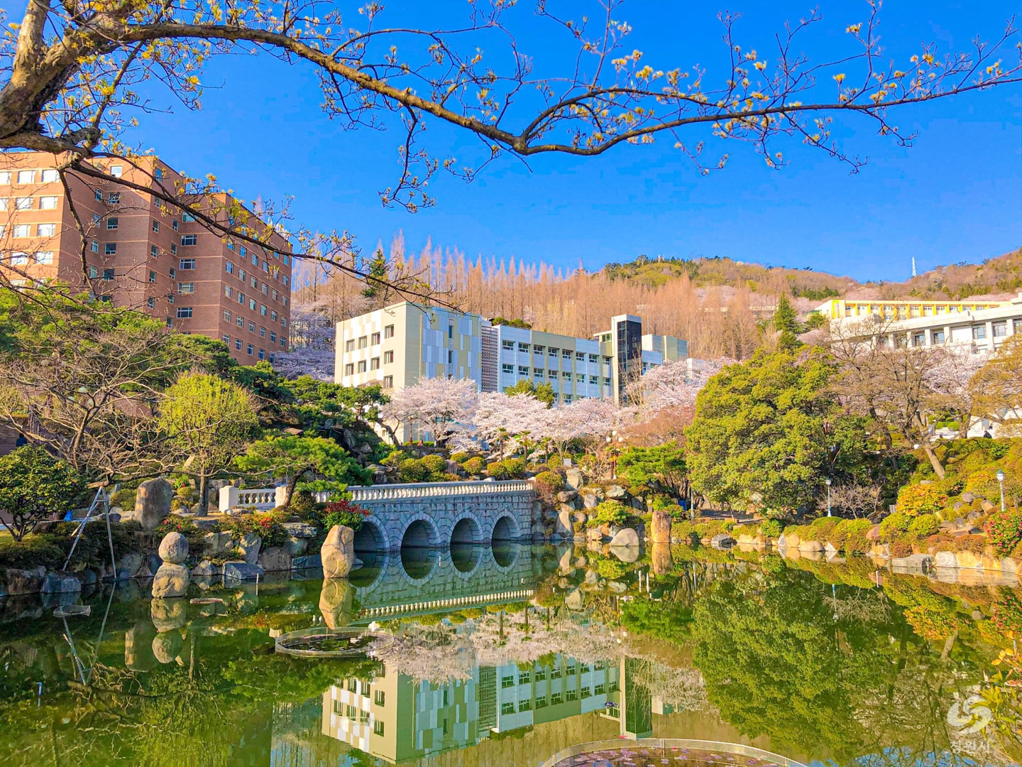 경남대 월영지 전경