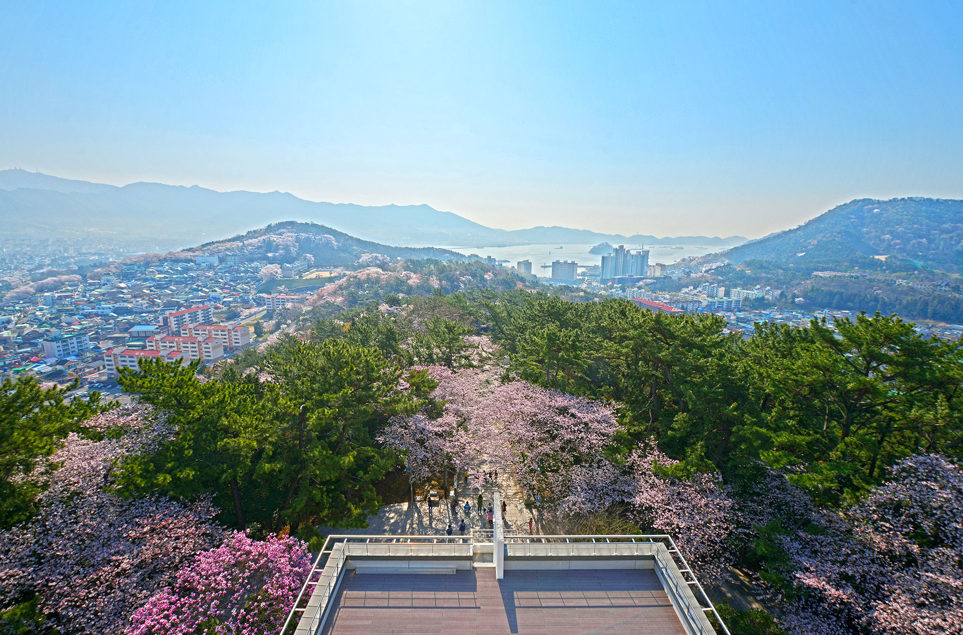 제황산 공원