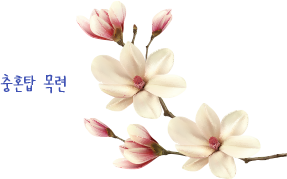 충혼탑 목련 일러스트