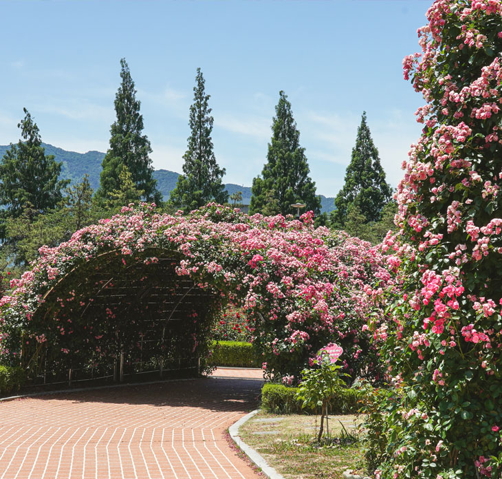장미공원
