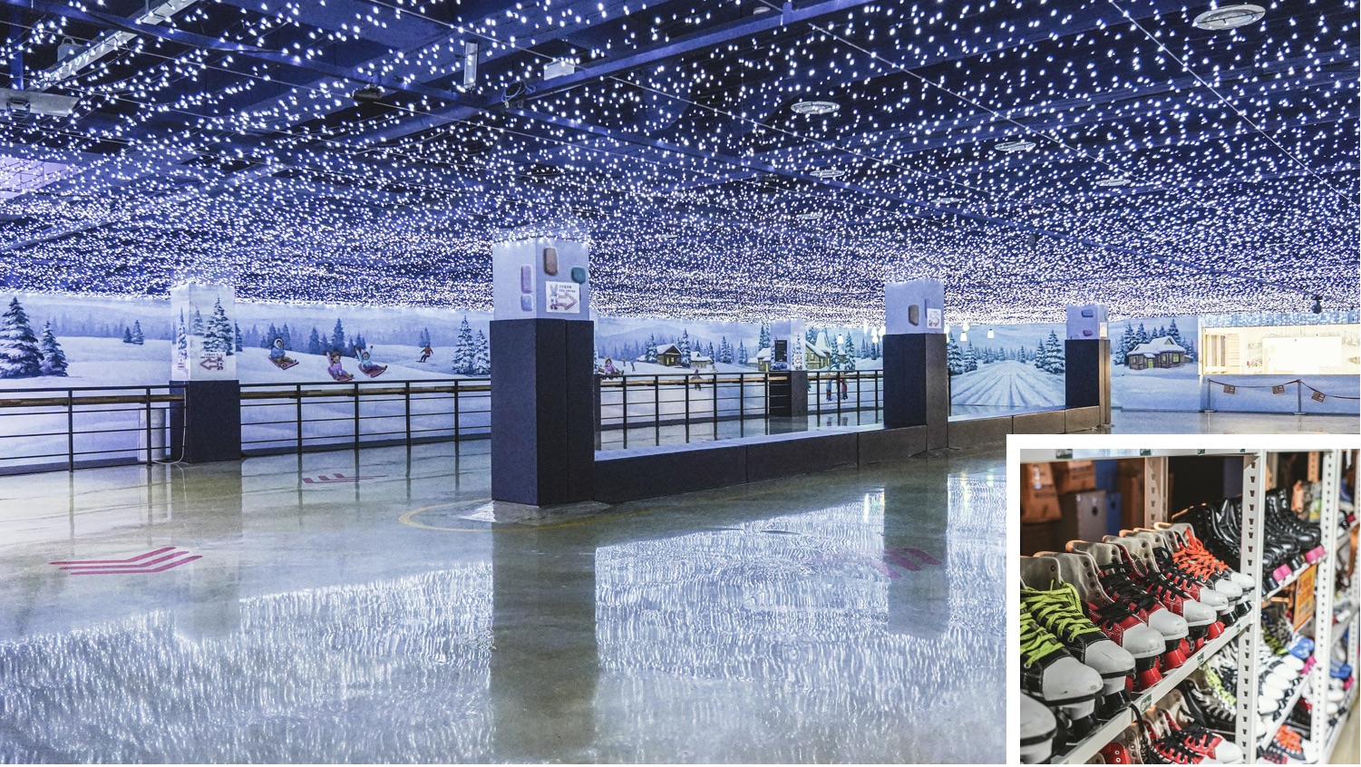 잭슨나인스 스케이트장 전경