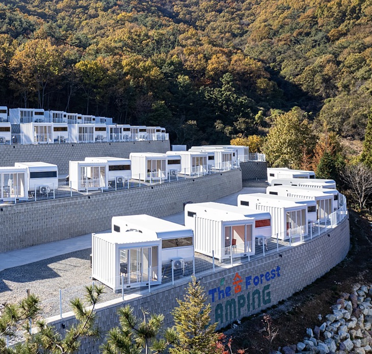 포레스트