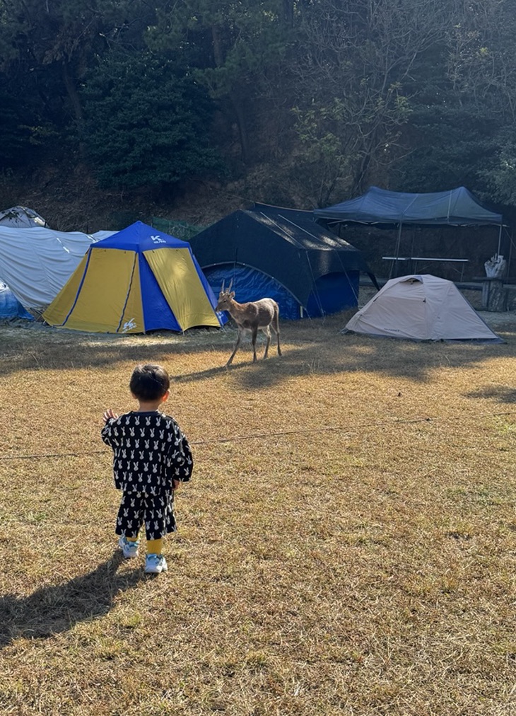 소쿠리섬
